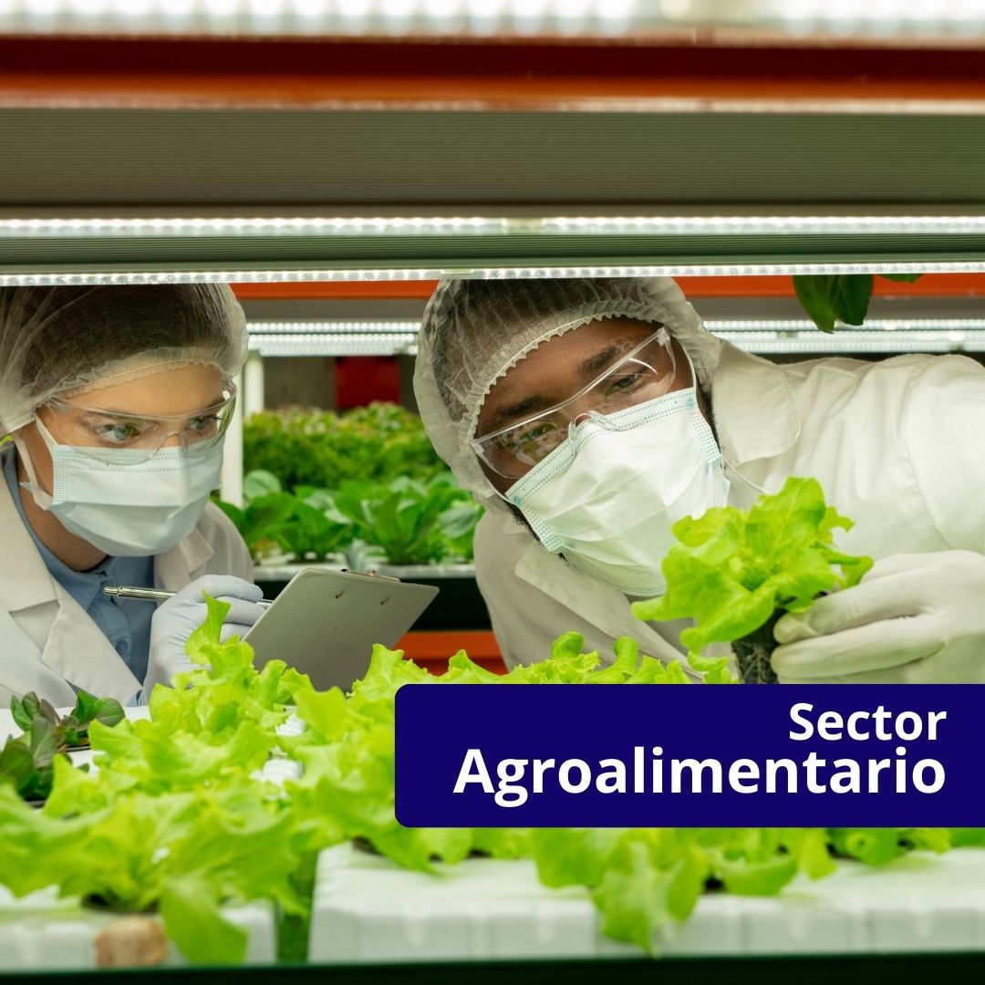 DENERTEC INDUSTRIAS (2)