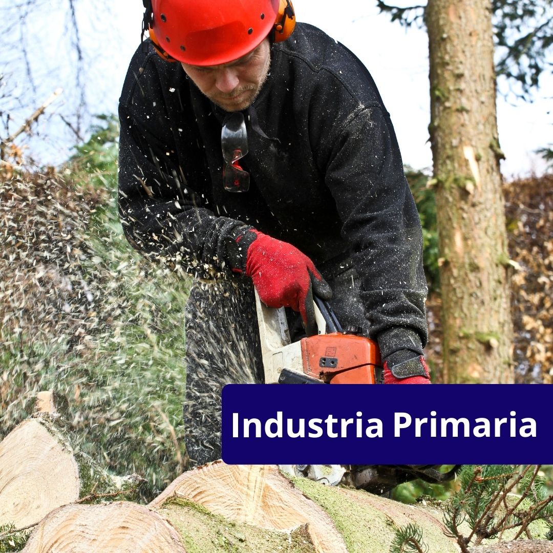 DENERTEC INDUSTRIAS (3)