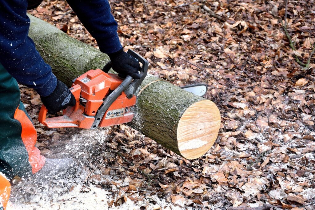 lumberjack, chainsaw, woodwork, tree trunks, lumber, lumberjack, chainsaw, chainsaw, chainsaw, chainsaw, chainsaw